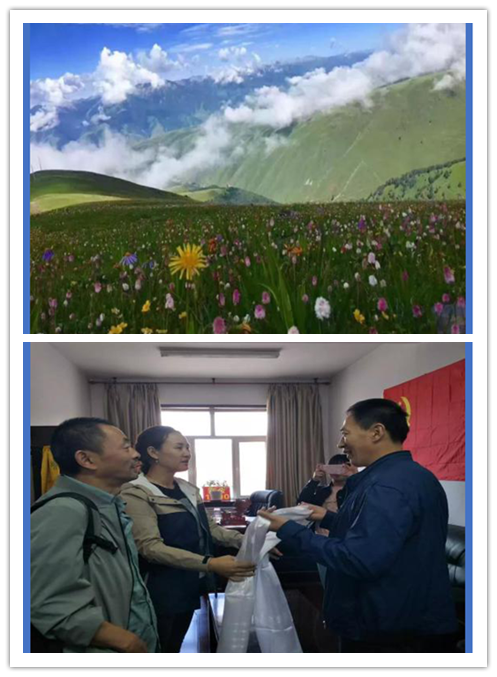 13142710_图片2.png
